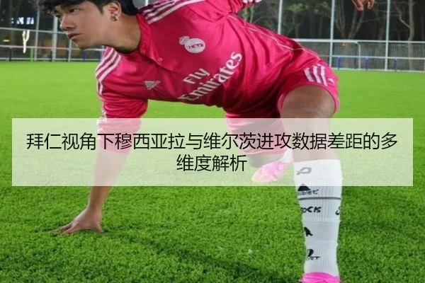拜仁视角下穆西亚拉与维尔茨进攻数据差距的多维度解析